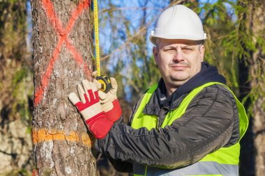 Ladin yakınındaki bir mezura ile oduncu