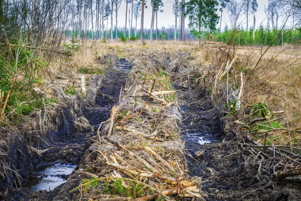 Rutted orman yolu Güz — Stok fotoğraf