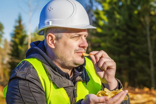 Houthakker met aardappel chips in het forest — Stockfoto