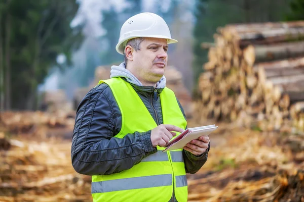 Forest engineer with tablet PC near piles of logs in forest — Stock Photo, Image