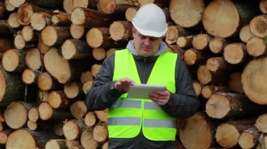 Orman memurları tablet Pc yakınındaki günlükleri yığını ile çalışma