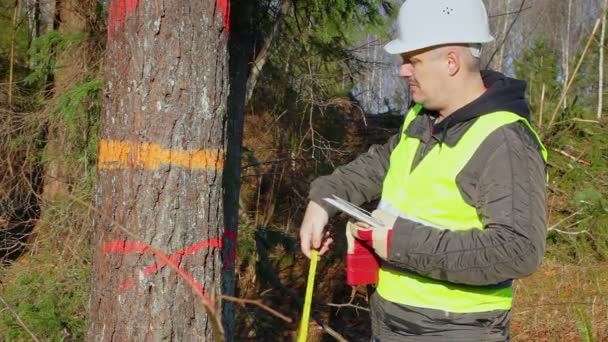 Forest ingenieur met een tablet Pc en lintmeter in de buurt van boom — Stockvideo