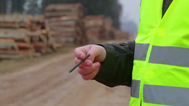 Trabajador con cigarrillo cerca de montones de troncos en el bosque — Vídeo de stock