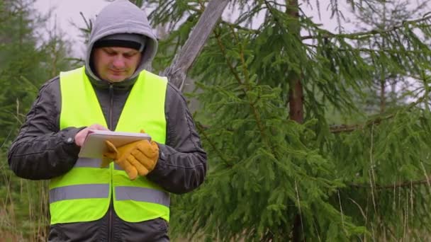 Workers with tablet PC and scissors near the spruce — Stock Video