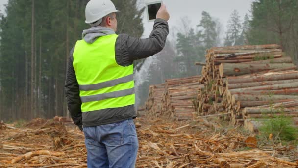 Forest Officer gefilmd stapels van logboeken met tablet Pc — Stockvideo