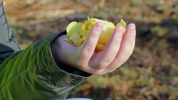 Hand met aardappel chips — Stockvideo