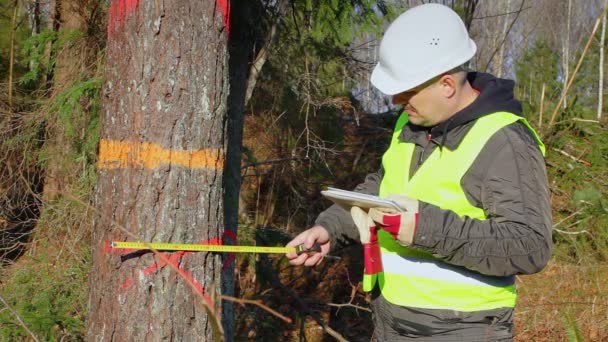 Forest ingenieur werkt met een tablet Pc in de buurt van structuur in forest — Stockvideo