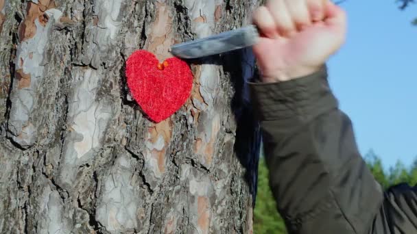 Cuchillo y corazón en el árbol — Vídeos de Stock