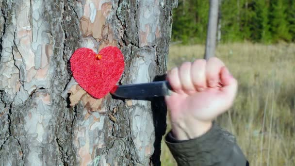 Knife and heart on the tree — Stock Video