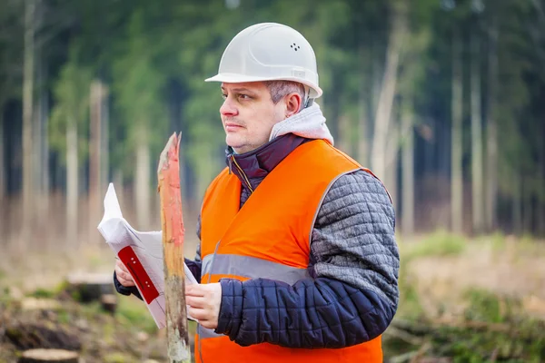Лесной инженер с документами в лесу — стоковое фото