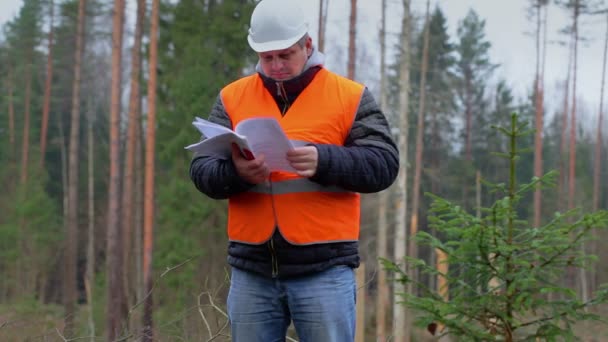 Bosbouwkundige met documenten in het bos — Stockvideo