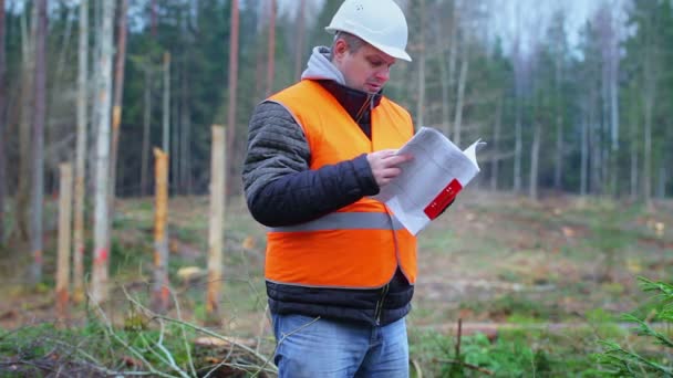 Forest engineer checking documents in the forest — Stock Video