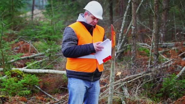 森林工程师在森林里翻转文档 — 图库视频影像