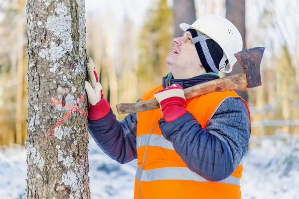 Lumberjack ในป่าใกล้ต้นไม้ด้วยขวาน — ภาพถ่ายสต็อก