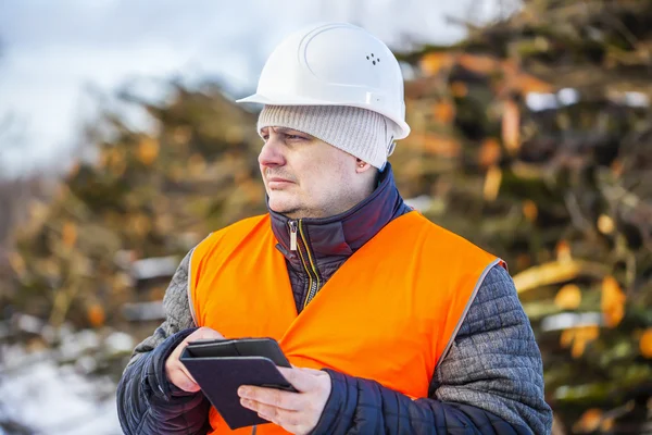 Forest engineer with tablet PC near piles of logs — Stock Photo, Image