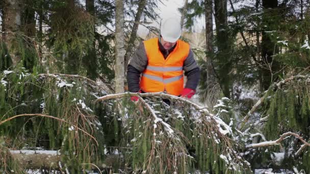 Człowiek pracy z siekierą — Wideo stockowe