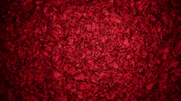 Fondo abstracto rojo — Vídeo de stock