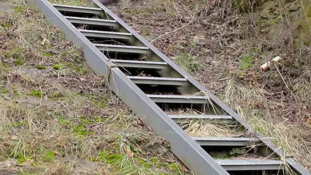 Werknemer lopen de trap naar beneden — Stockvideo