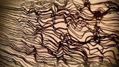 Vintage kahverengi çizgiler