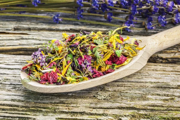 Natural dry herbal tea — Stock Photo, Image