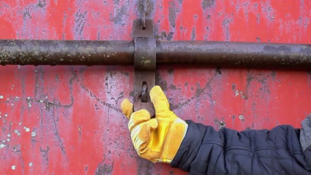 Uomo provare lucchetto aperto sulla porta di metallo rosso — Video Stock