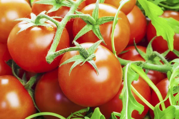 Tomatoes with greens — Stock Photo, Image