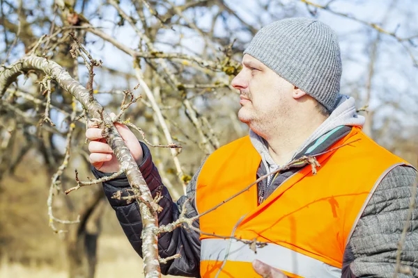 Man with branches in the garden — Stock Photo, Image