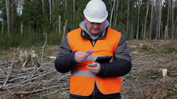 Dřevorubec počítání peněz v lese — Stock video