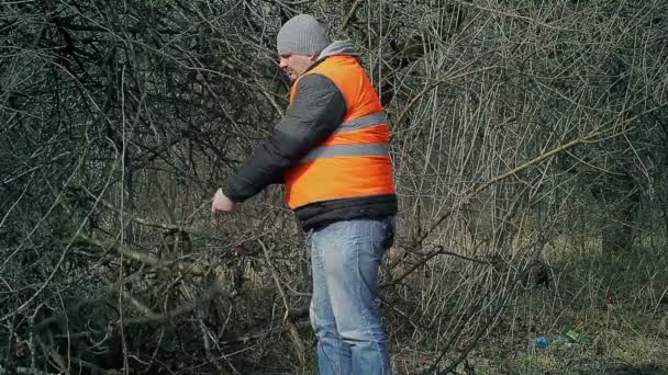 Людина в саду з гілками — стокове відео