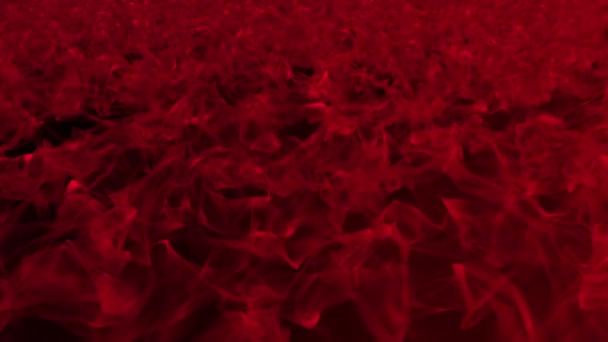Sfondo astratto rosso scuro su nero — Video Stock