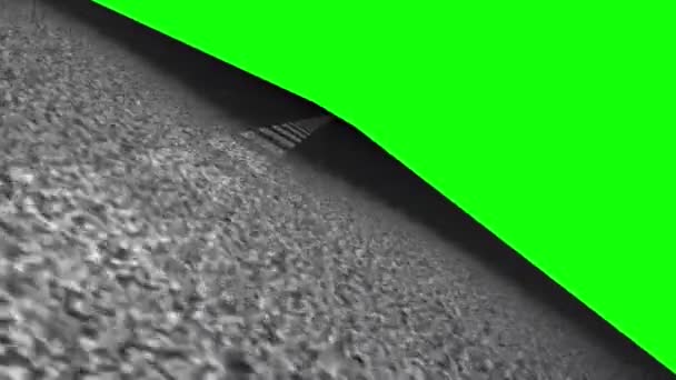 Asphaltierte Straße mit Trennlinien auf Grün — Stockvideo