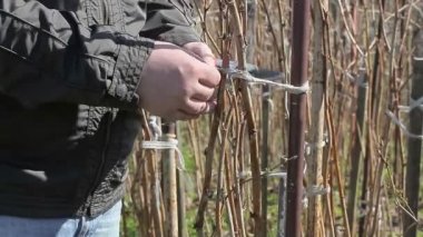 Bahçıvan Bahçe tesislerinde yakınındaki