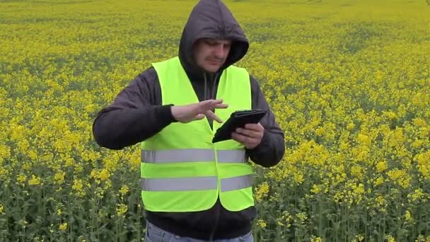 Agricultor com tablet PC perto de campo de estupro amarelo — Vídeo de Stock