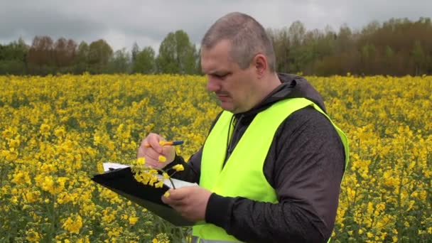 Agricultor com pasta perto de campo de estupro amarelo — Vídeo de Stock