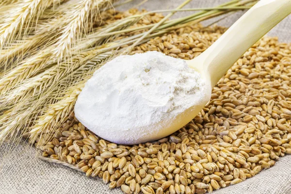 Farine dans la cuillère en bois avec grains et épis — Photo