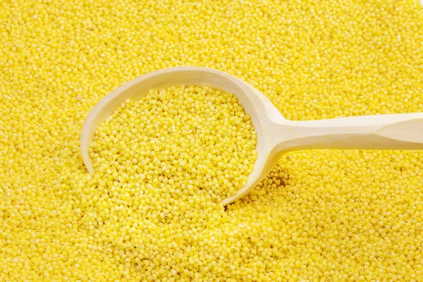 Wooden spoon on yellow millet groats — Stok fotoğraf