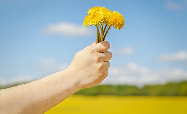 Hand with dandelion — Stock Photo, Image