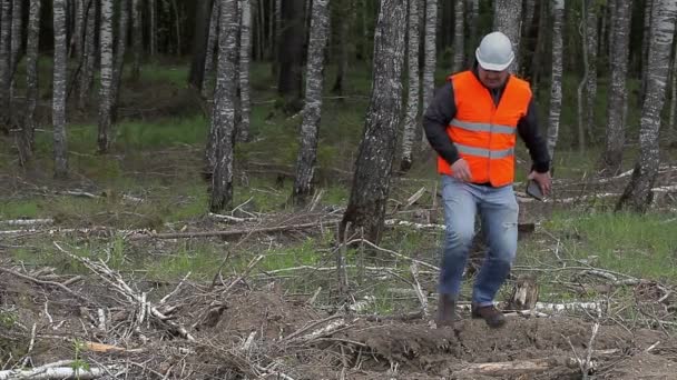 Лесной инженер с планшетным ПК возле леса — стоковое видео