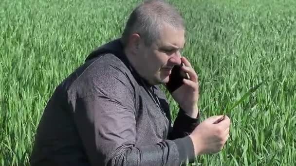 Farmer with tablet PC on green cereal field in summer — Stock Video