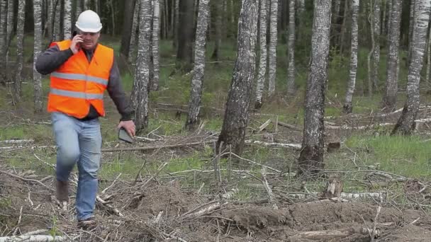 Ingénieur forestier avec téléphone portable dans les bois — Video