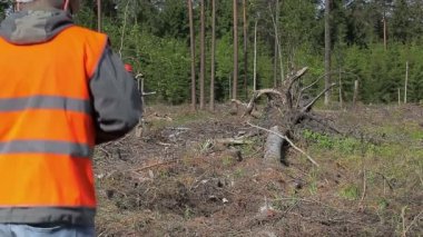 Orman mühendisleri ile tablet Pc yok edilen orman