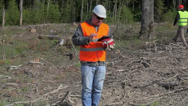 Forest ingenieurs met tablet Pc in bos — Stockvideo