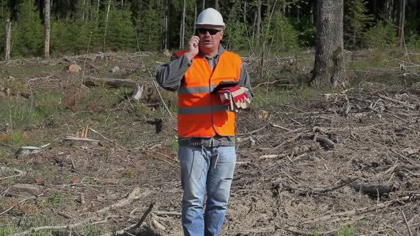 Forest ingenieur praten op mobiele telefoon in de verwoeste bos — Stockvideo