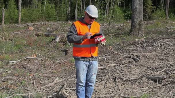 Forest ingenieurs in de verwoeste bos — Stockvideo