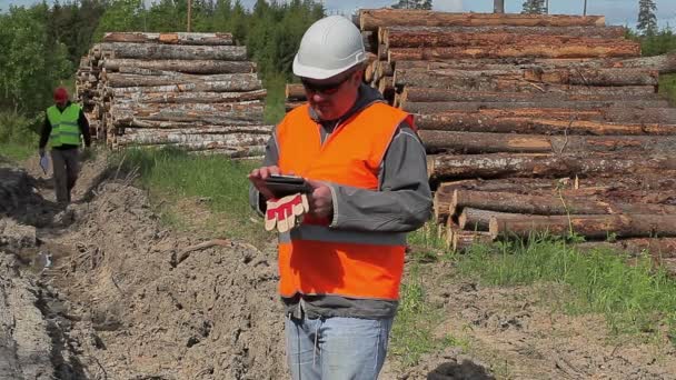 Oficiales forestales cerca de la pila de madera — Vídeo de stock