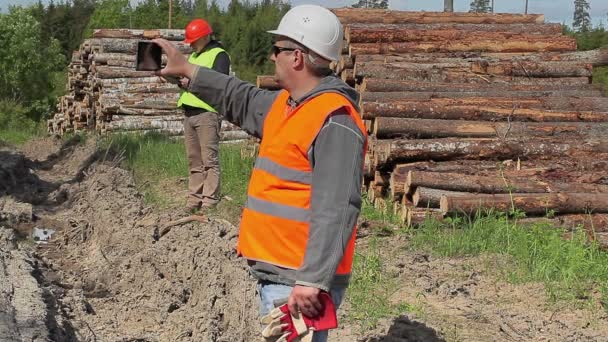 Oficiales forestales filmaron cerca de la pila de madera en verano — Vídeo de stock