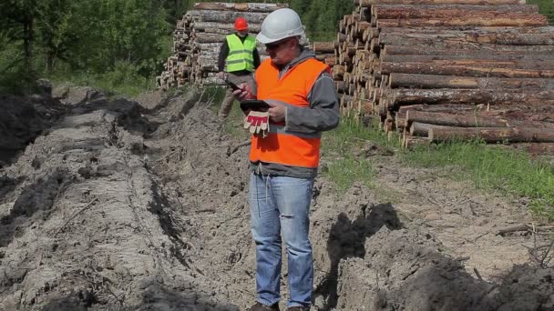 Forstbeamter in der Nähe von Baumstämmen mit Handy — Stockvideo