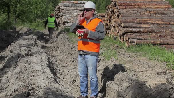Forstbeamter in der Nähe von Baumstämmen telefoniert — Stockvideo