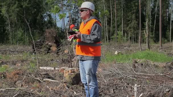 Oficiales forestales en bosque destruido — Vídeo de stock