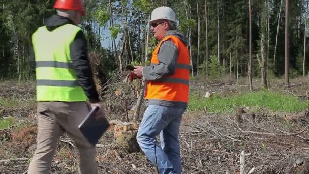 Oficiales forestales comienzan a comprobar bosque destruido — Vídeo de stock